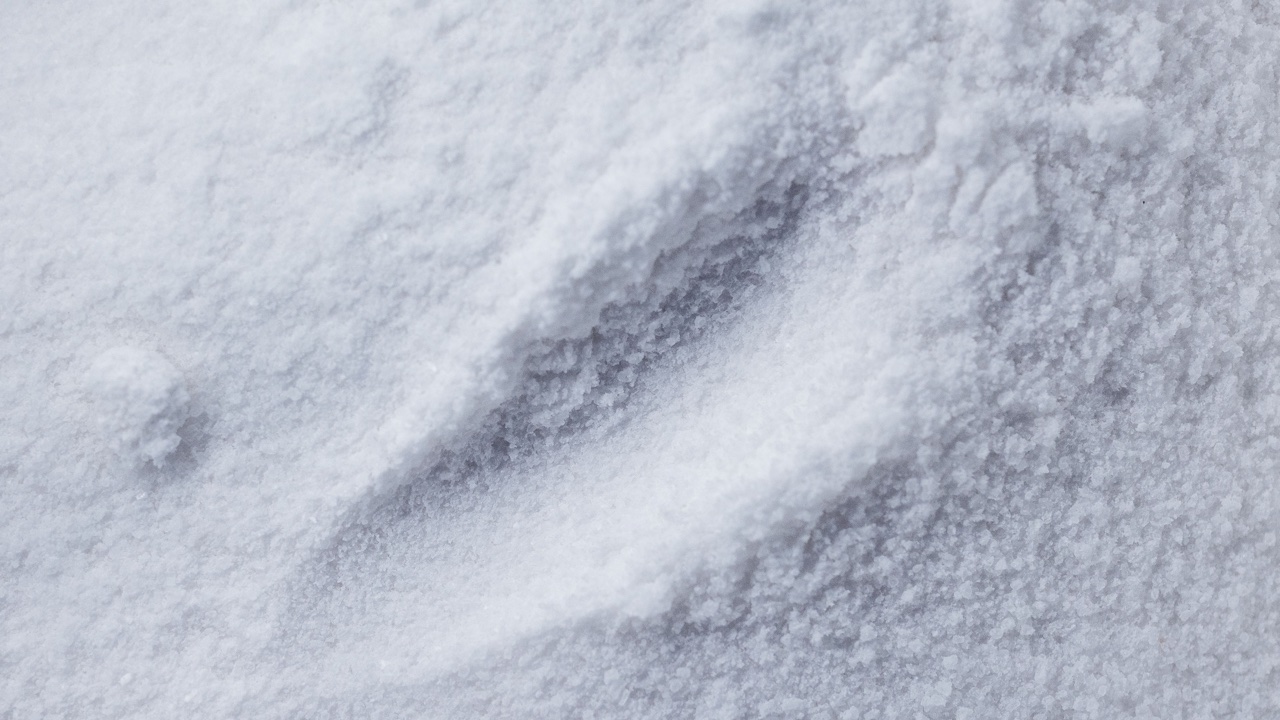 SAMe Powder Stability: Why This Ingredient Is Among the Hardest to Store in the Supplement Category